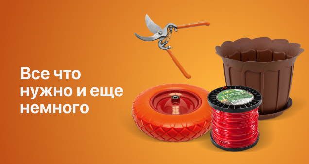 Акция июнь 2025