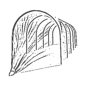 Парники